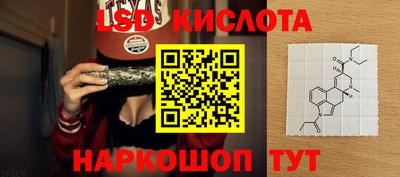 соль ск Новодвинск