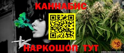соль ск Новодвинск