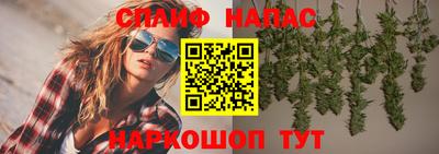 дживик Новокубанск